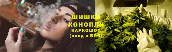 индика Белоозёрский