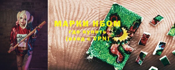 индика Белоозёрский