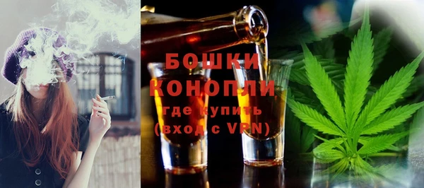 индика Белоозёрский