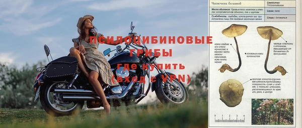 индика Белоозёрский