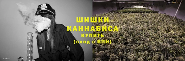 индика Белоозёрский